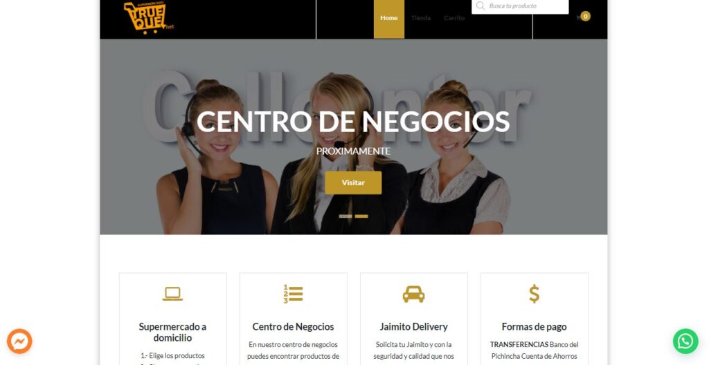 SITIO WEB